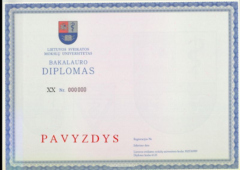 Bakalauro diplomo pavyzdys